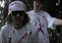 Wounded Animals The Conflict With My Minds