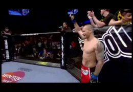 Jess The Joker Liaudin Carinho H le joker ne craint personne