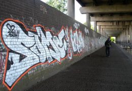 Keyseventeen Chrome Edition X Some NHS