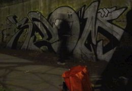 Key Seventeen chrome edition x 3Dom ASK