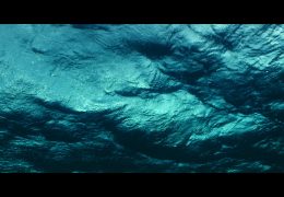 Jon Hope Savage Beauty